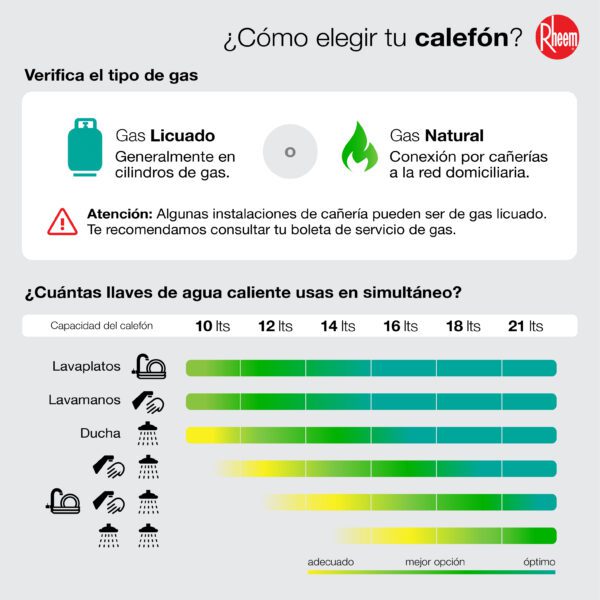 CALEFONT RHEEM TIRO FORZADO 10 LITROS - Imagen 4